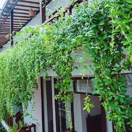 Riverside Plum Garden Villa Hoi An Exterior photo